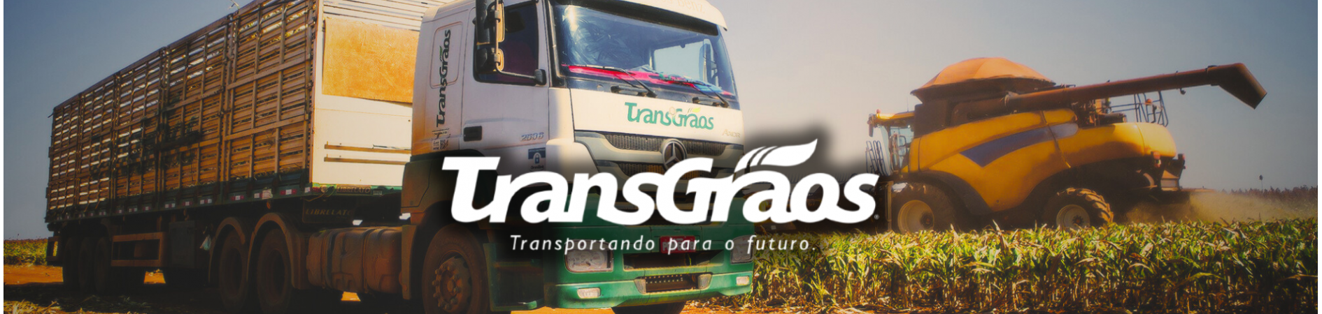 transgraos